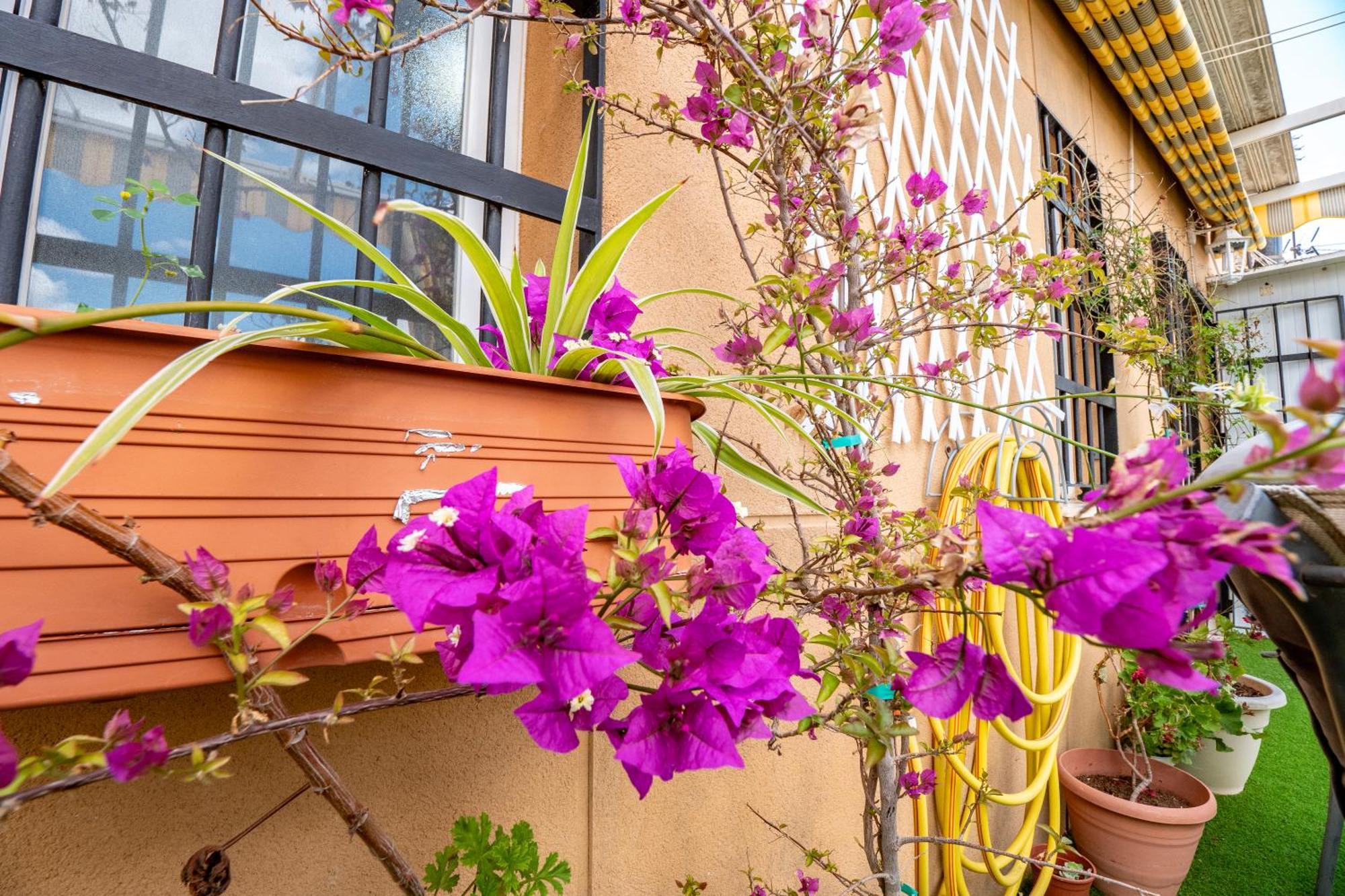Appartement Atico Con Terraza Junto A La Catedral à Huelva Extérieur photo